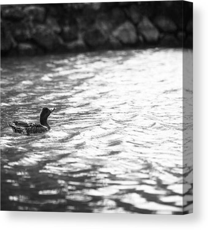 Nature Canvas Print featuring the photograph #photography #monochrome #blackandwhite #1 by Hiro N