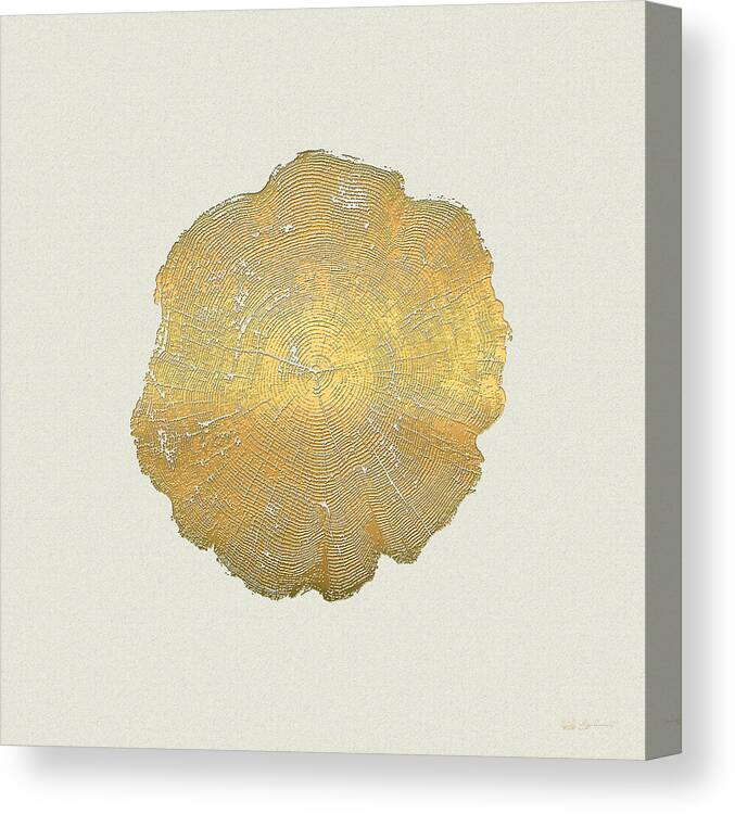 Inconsequential Beauty By Serge Averbukh Canvas Print featuring the photograph Rings of a Tree Trunk Cross-section in Gold on Linen #2 by Serge Averbukh