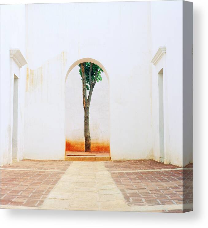 Serenity Canvas Print featuring the photograph Serenity In Oaxaca by Shaun Higson