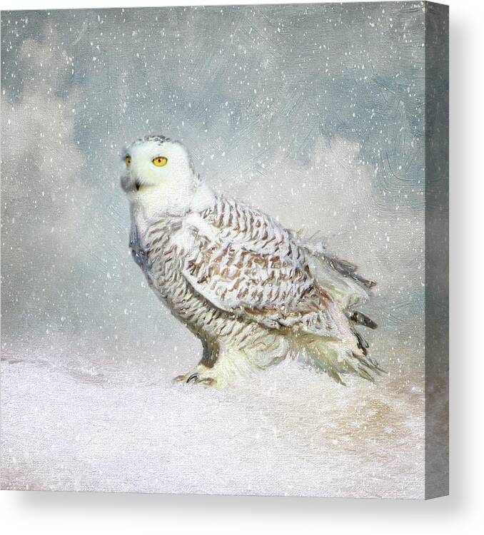 Owl Canvas Print featuring the photograph Snowy Owl #2 by Karen Lynch