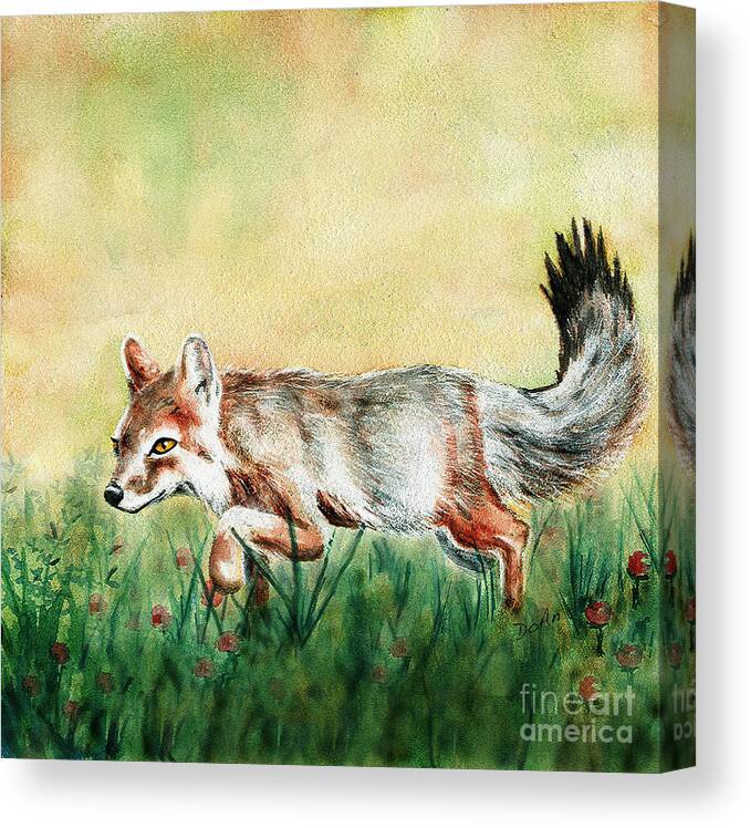 Summer Fox Canvas Print featuring the painting Summer Fox by Antony Galbraith