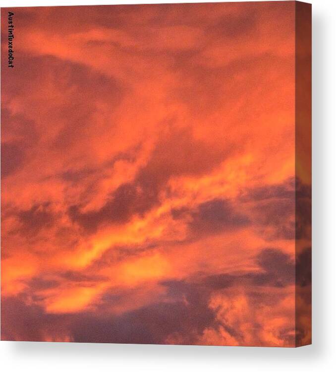 Sunrise_and_sunsets Canvas Print featuring the photograph The #sky Has Been On #fire In #1 by Austin Tuxedo Cat
