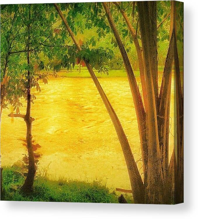 Beautiful Canvas Print featuring the photograph treat The Earth Well. It Was Not #1 by Lean P