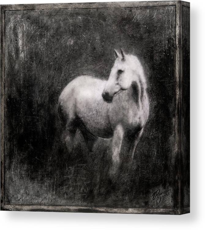 Horse Canvas Print featuring the mixed media White Horse #1 by Roseanne Jones