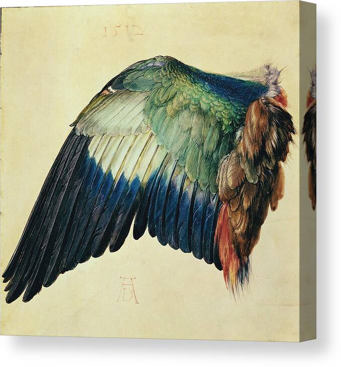 Albrecht Durer Canvas Print featuring the painting Wing Of A Blue Roller by Albrecht Durer