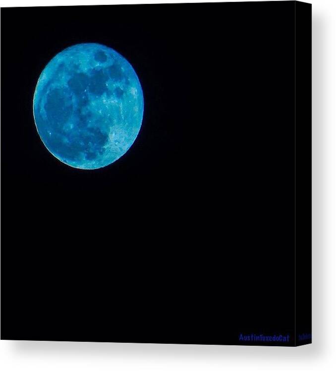Whpgeometry Canvas Print featuring the photograph Yes, Once In A #bluemoon! #1 by Austin Tuxedo Cat