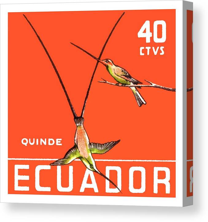 Ecuador Canvas Print featuring the digital art 1958 Ecuador Hummingbirds Postage Stamp by Retro Graphics