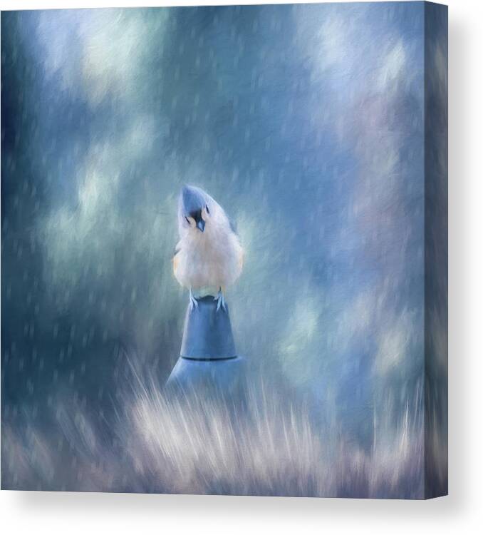Bird Canvas Print featuring the photograph April Showers by Cathy Kovarik