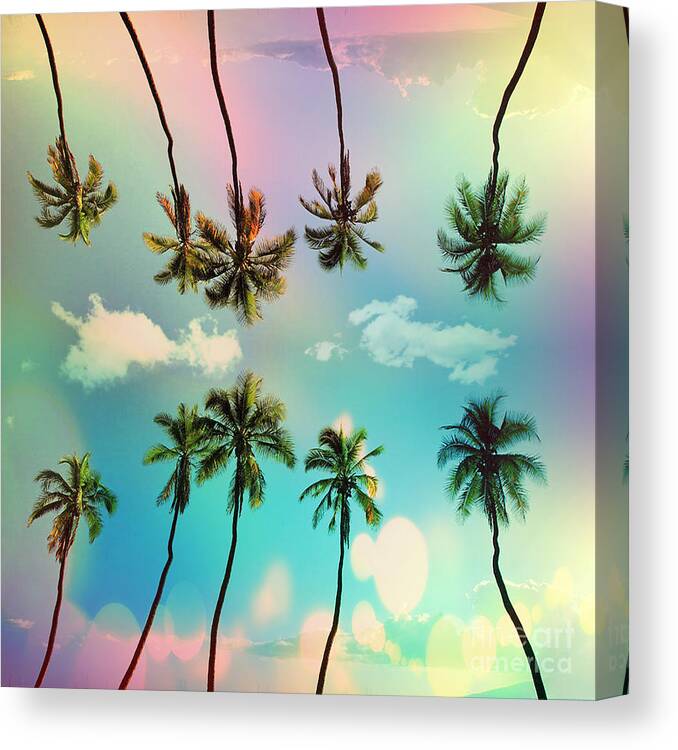 Venice Beach Canvas Print featuring the digital art Florida by Mark Ashkenazi