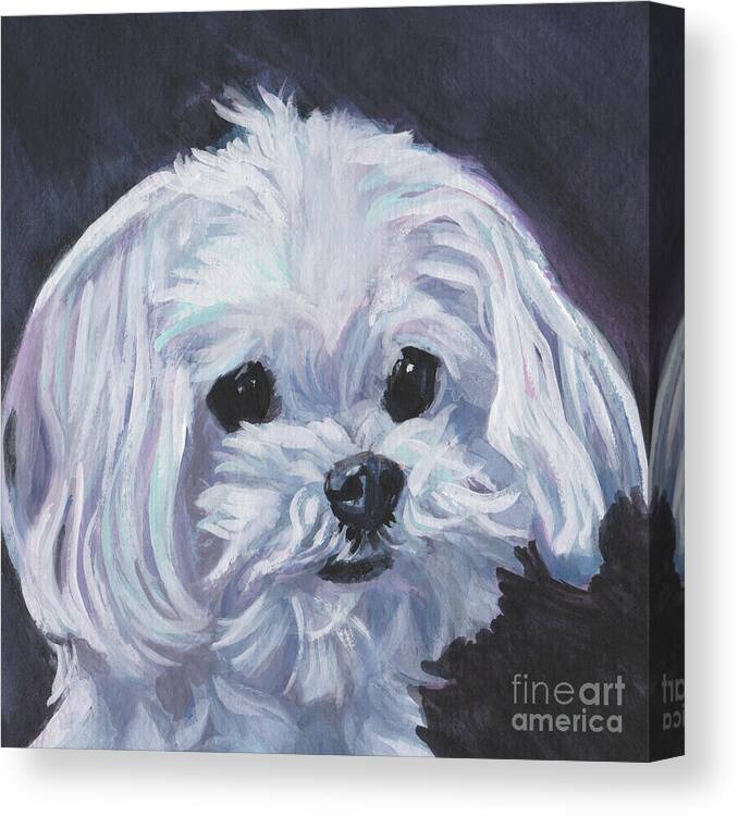 Maltese Canvas Print featuring the painting Maltese #2 by Lee Ann Shepard