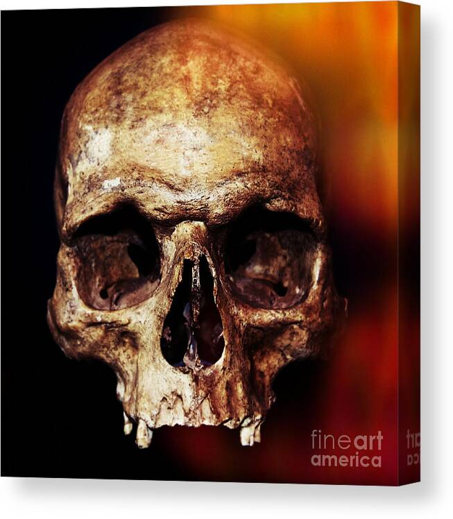 Halloween Canvas Print featuring the photograph Skull by Iryna Liveoak