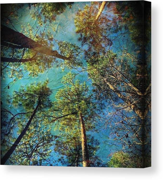 Pixlromaticapp Canvas Print featuring the photograph Created With #distressedfx #3 by Joan McCool
