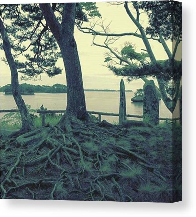 September Canvas Print featuring the photograph Instagram Photo #361517662907 by Atsushi Kikuchi
