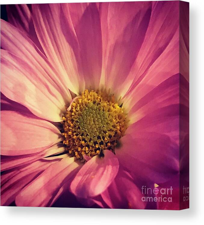 Pink Canvas Print featuring the photograph Flower #4 by Deena Withycombe
