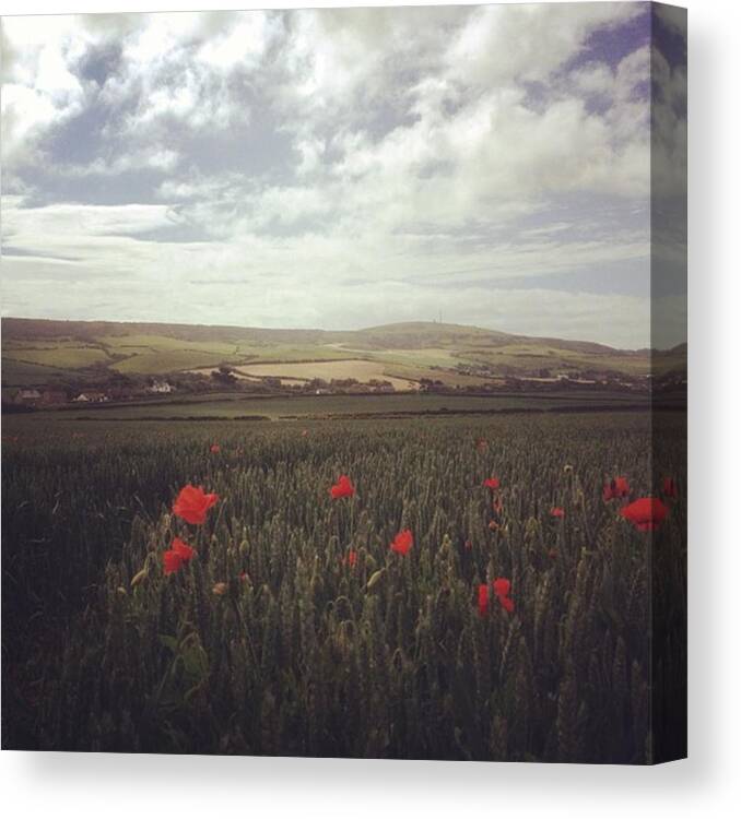 Beautiful Canvas Print featuring the photograph Instagram Photo #41452360542 by Rosie Buckley