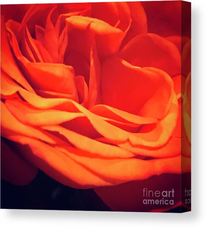 Orange Canvas Print featuring the photograph Flower by Deena Withycombe