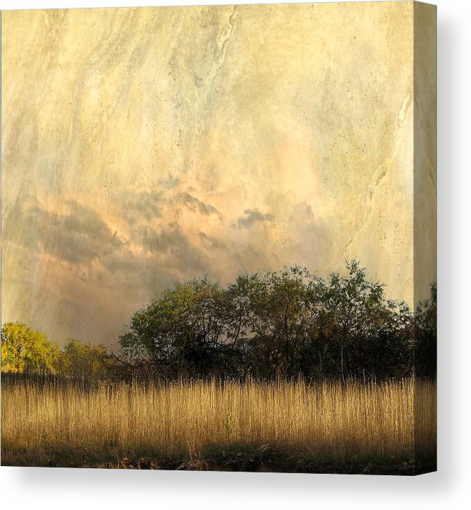 Trees Canvas Print featuring the photograph 4145 by Peter Holme III