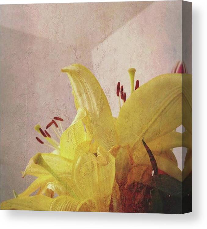  Canvas Print featuring the photograph Instagram Photo #591463354344 by Thirsty Orchid