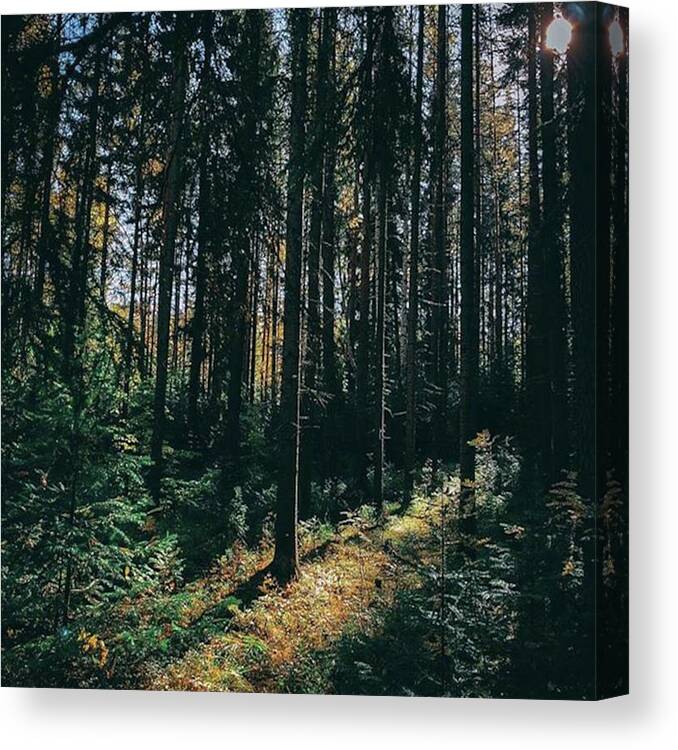 спокойствие Canvas Print featuring the photograph Вернёмся от #6 by Sergey Nustaykin