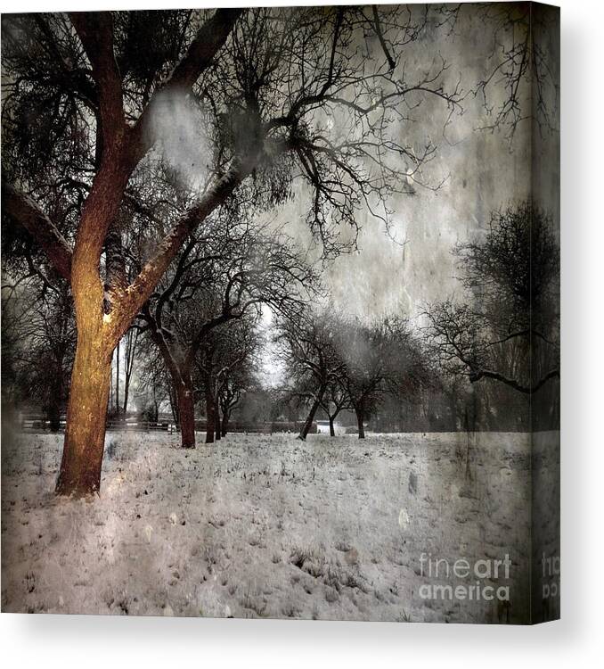 Winter Canvas Print featuring the photograph The Winter Time #7 by Ang El