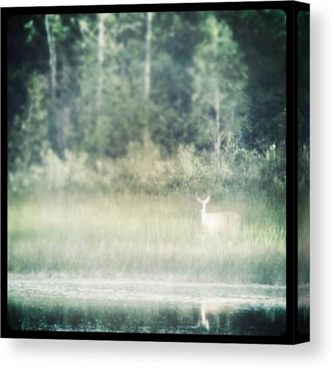  Canvas Print featuring the photograph Instagram Photo #701443487201 by Candice Coghlin