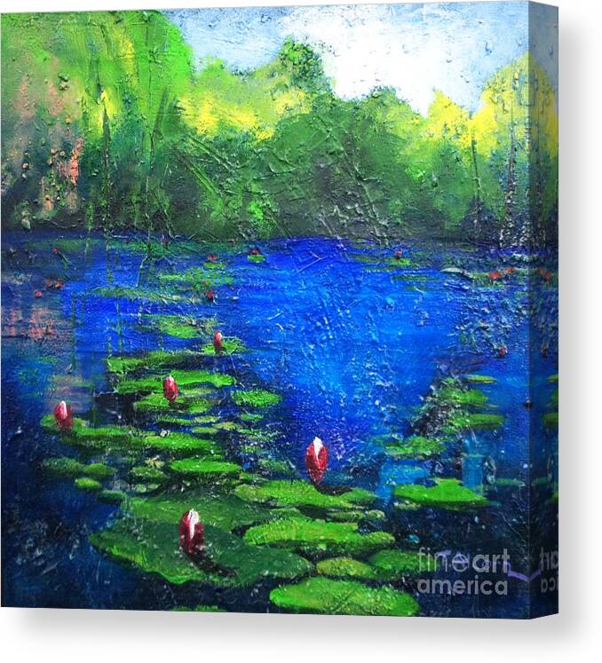 Waterlilies Canvas Print featuring the painting 8 Mile Creek Lagoon - Bajool - original sold by Therese Alcorn