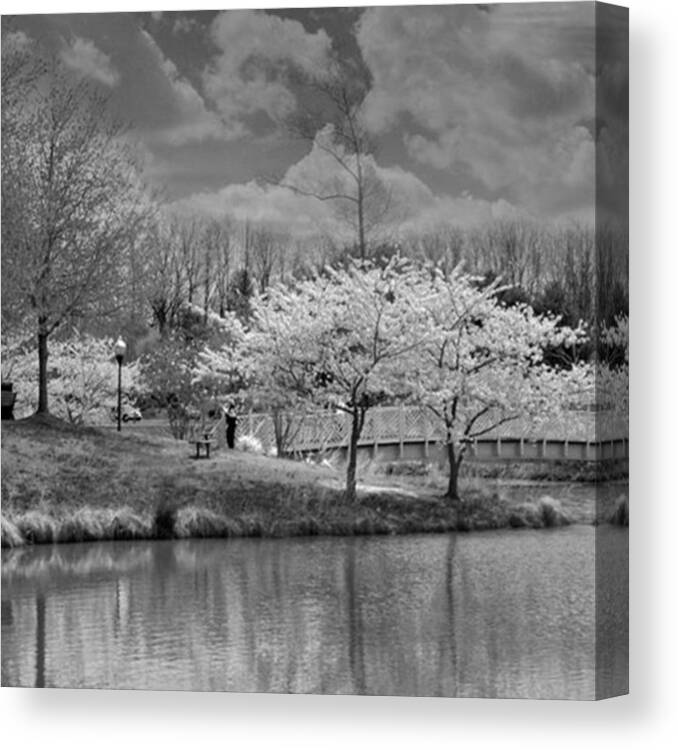 Monochromatic Canvas Print featuring the photograph Instagram Photo #871450103401 by Larry Bacon