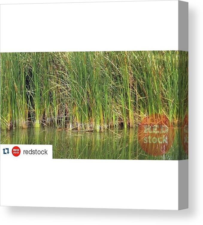 Beautiful Canvas Print featuring the photograph #repost @redstock With #9 by Nurcholis Anhari Lubis