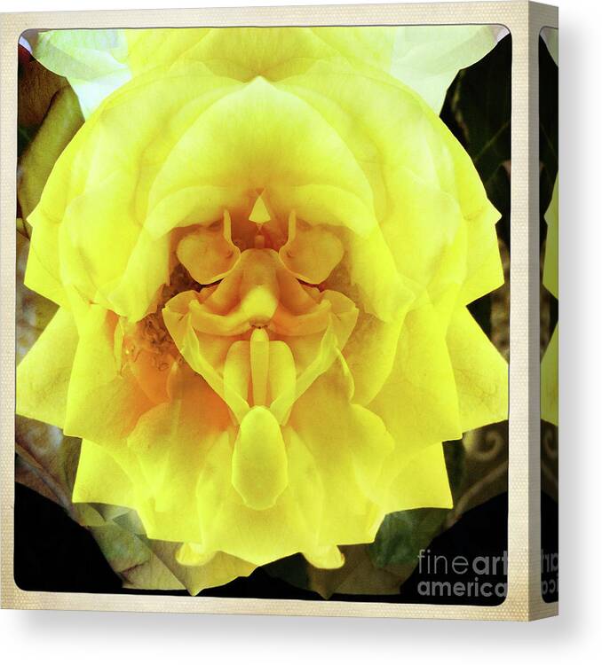 Flower Canvas Print featuring the photograph A Face in the Flower by Xine Segalas