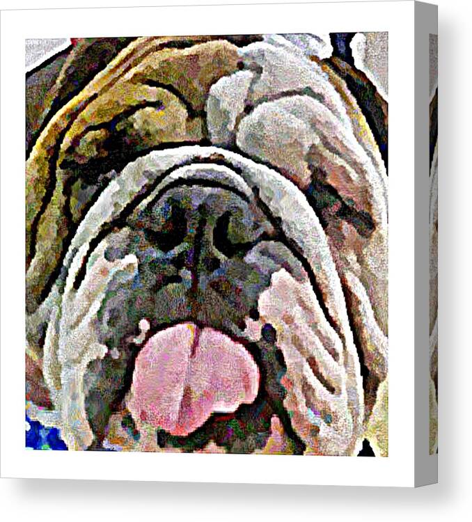 Dog Canvas Print featuring the digital art A Face Only a Mother Could Love by Terry Mulligan
