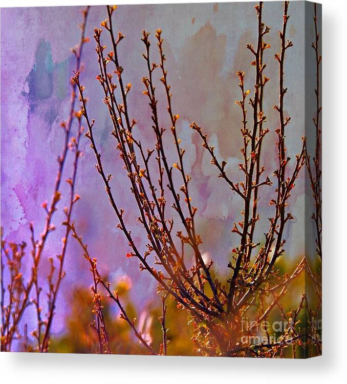 Nature Canvas Print featuring the photograph A Little Color by Sandra Peery