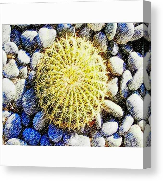 Beautiful Canvas Print featuring the photograph A Rocky by Karyn Robinson