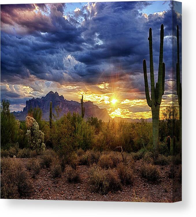 Sunrise Canvas Print featuring the photograph A Sonoran Desert Sunrise - Square by Saija Lehtonen