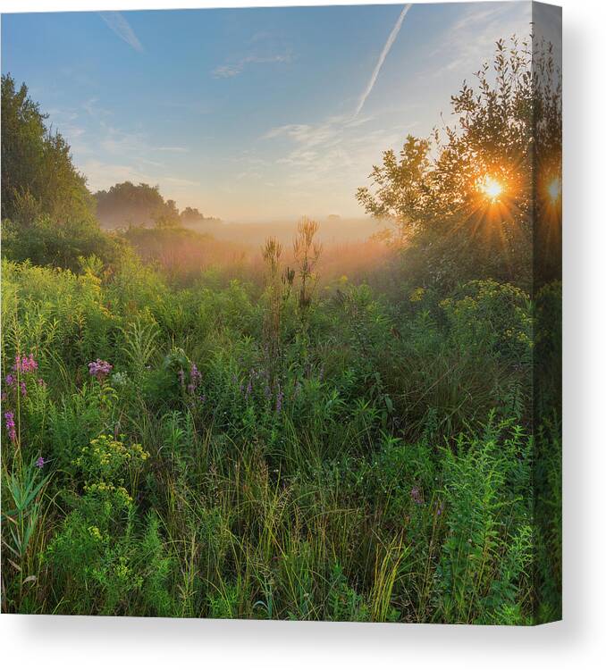 Square Canvas Print featuring the photograph A Summer Morning 2016 Square by Bill Wakeley