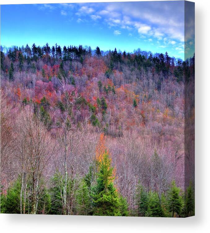 Landscape Canvas Print featuring the photograph A Touch of Autumn by David Patterson