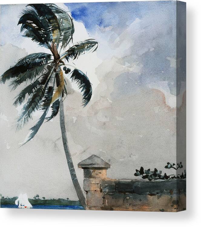 A Tropical Breeze Canvas Print featuring the painting A Tropical Breeze by Winslow Homer