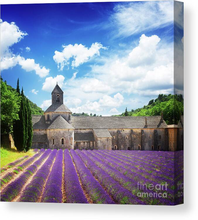Lavender Canvas Print featuring the photograph Abbey Senanque and Lavender by Anastasy Yarmolovich
