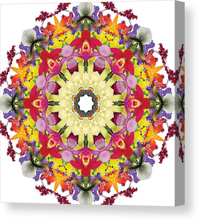 Mandala Canvas Print featuring the photograph Abundantly colorful orchid mandala by R V James