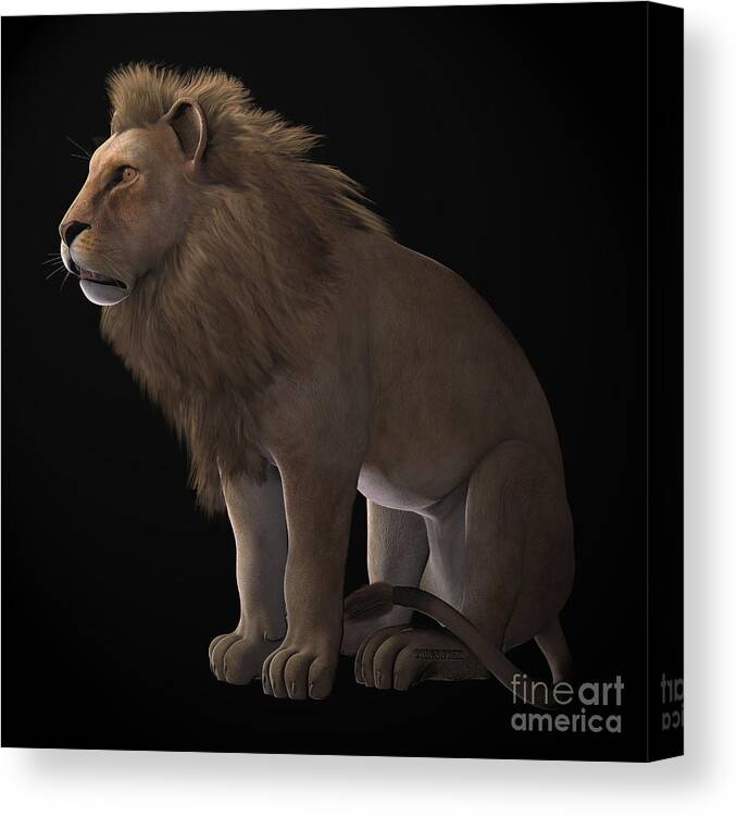 Lion Canvas Print featuring the painting African Lion on Black by Corey Ford