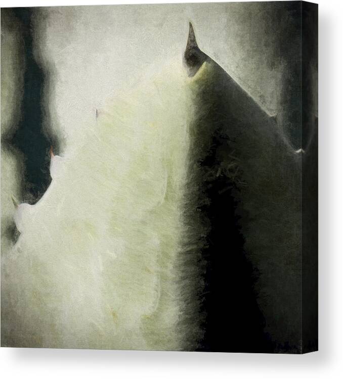 Agave Canvas Print featuring the photograph Agave Impression Four by Carol Leigh