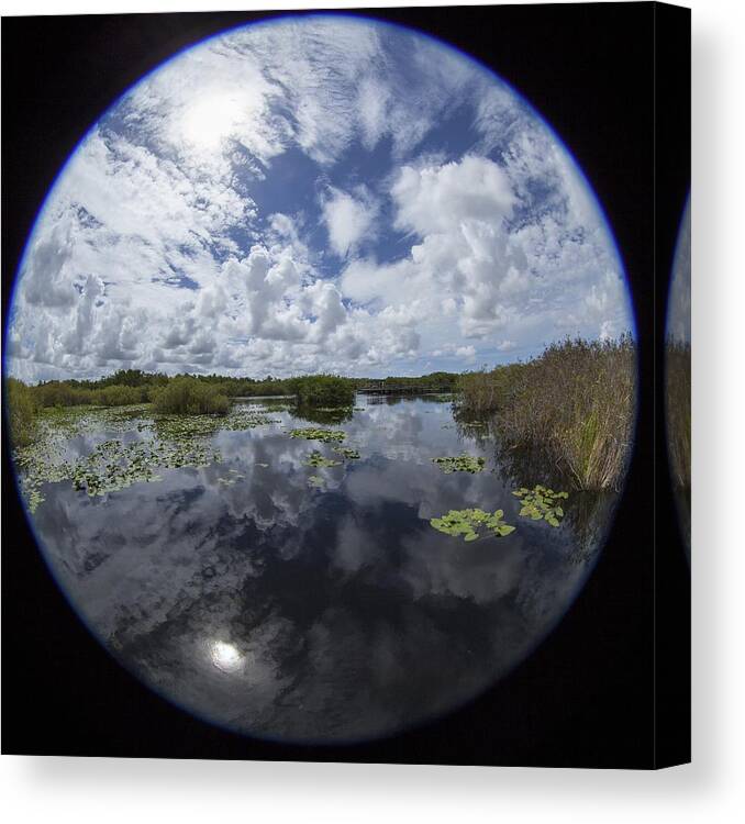 Fisheye Canvas Print featuring the photograph Anhinga Trail 86 by Michael Fryd