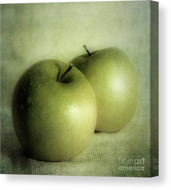Apple Canvas Print featuring the photograph Apple Painting by Priska Wettstein
