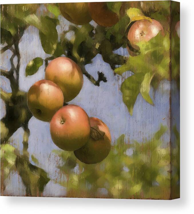 Apples Canvas Print featuring the digital art Apples on Wood Panel by Simon Sturge