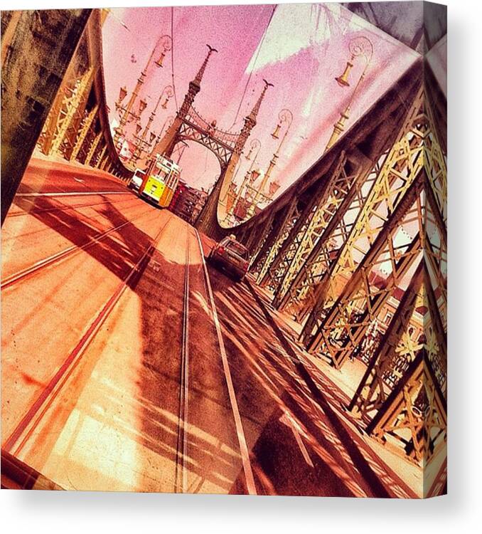 Steel Canvas Print featuring the photograph #architecture #budapest #freedom by Luigino Bottega