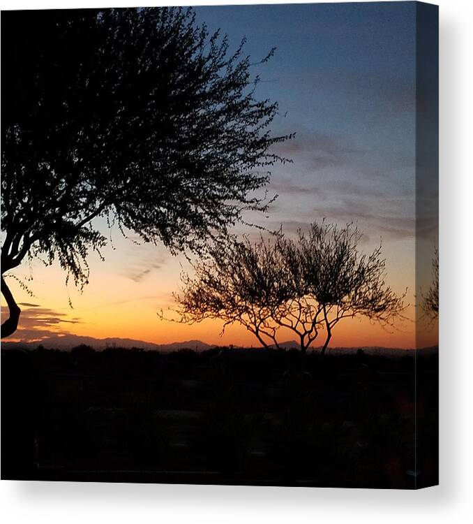 Arizona Canvas Print featuring the photograph Arizona Sunset by Vic Ritchey