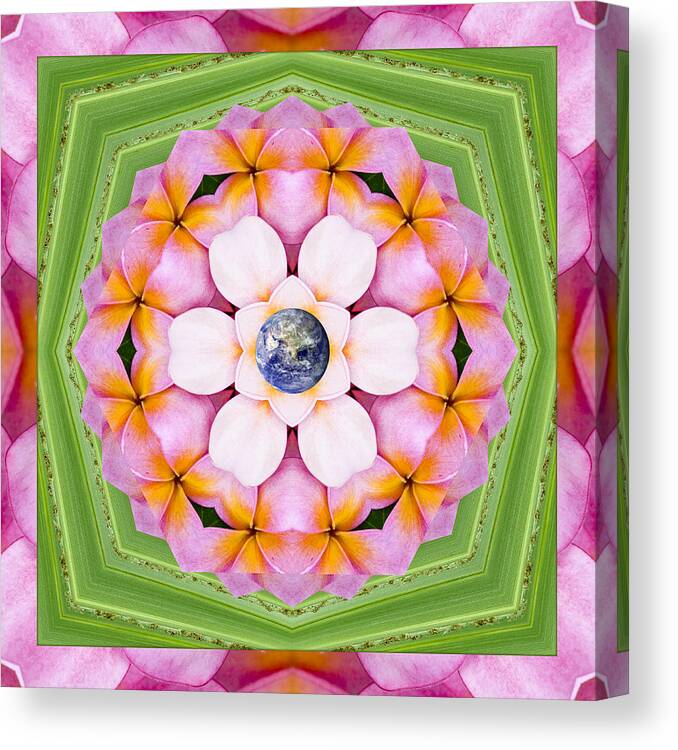 Mandalas Canvas Print featuring the photograph Aroma Rouge by Bell And Todd