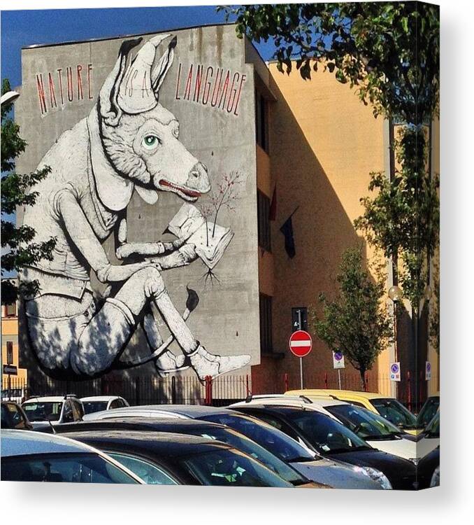 Donkey Canvas Print featuring the photograph #art #arte #street #streetart #asino by Valentina Ceccatelli