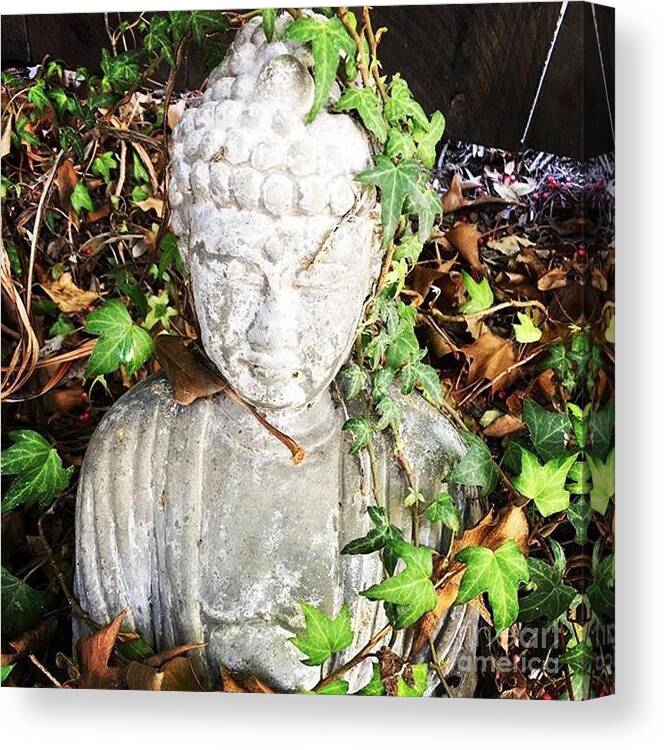 Buddha Canvas Print featuring the photograph As One by Denise Railey
