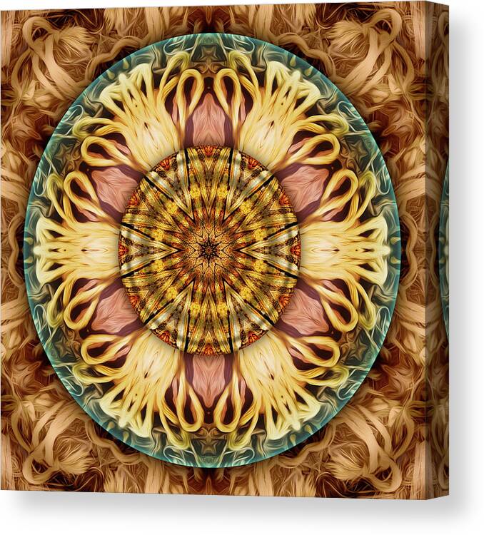 Mandalas From Trash Canvas Print featuring the digital art At The End Of My Rope by Becky Titus