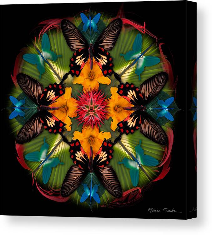 Botanical Canvas Print featuring the photograph Balance by Bruce Frank